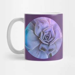 Echeveria succulent plant Mug